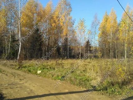 Погода в деревне клочково солнечногорский