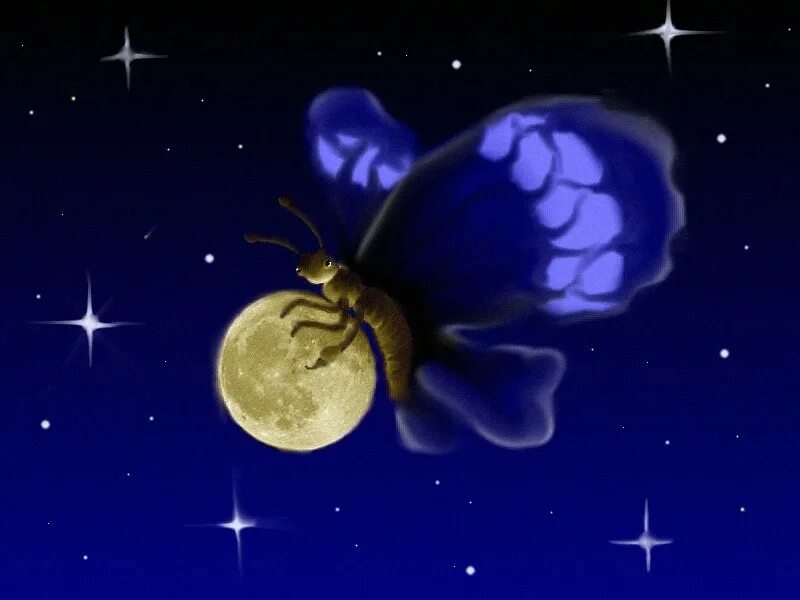 Песни бабочка луна. Бабочка Луна. Лунный мотылек. Мотылек Луна. Бабочка и полнолуние.