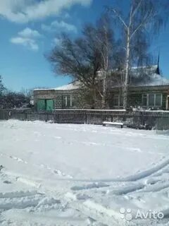 Шипуново фото