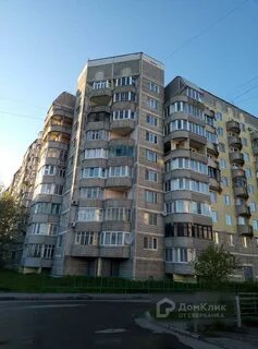 Улица паши савельевой