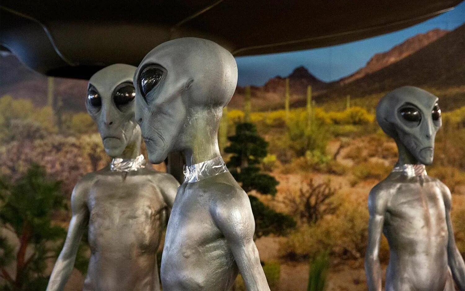 Люди инопланетяне видео. Инопланетяне существуют. Люди инопланетяне видео. Люди инопланетяне видео. Инопланетяне существуют.