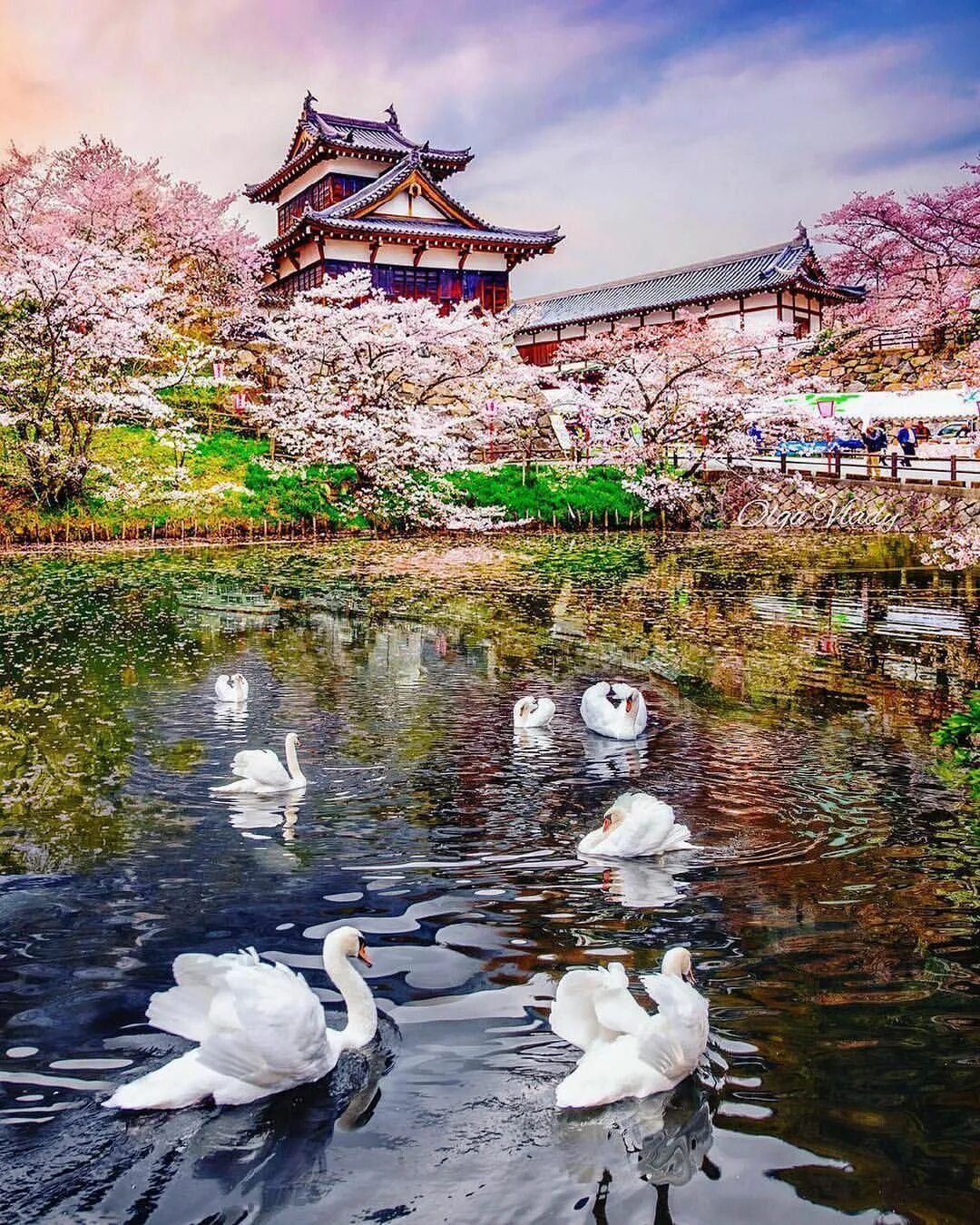 япония пейзаж рисунок. киото гора фудзияма. фудзияма япония храм. страна восходящего солнца японский пейзаж. рисование на тему япония.