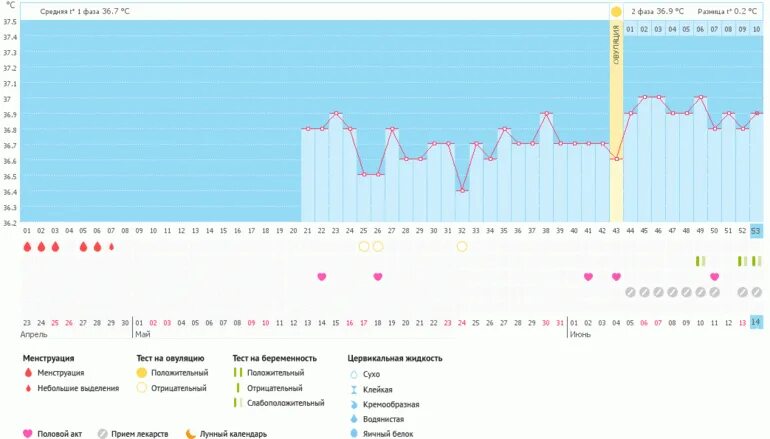 Температура базальная тест отрицательный. Необычные беременные графики. График БТ при беременности до задержки. Необычные беременные графики базальной температуры. Мой беременный график.