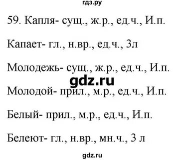 Русский язык 6 класс упражнение 56