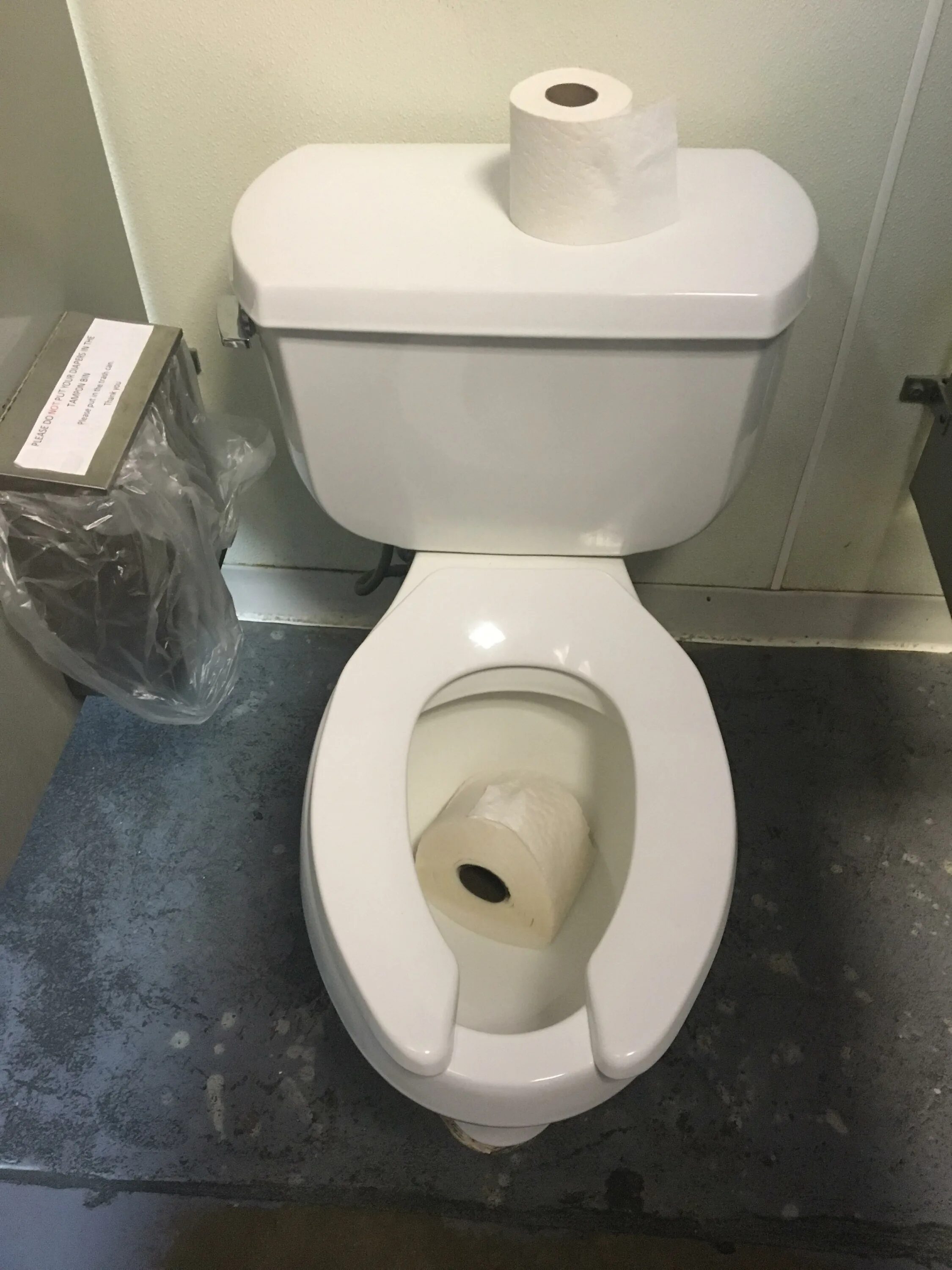 Working toilet. Working toilet. Туалетная бумага в туалете. Сантехник. Работа на унитазе.