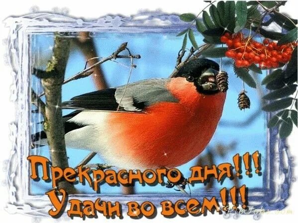 Картинки с добрым утром пятницы зимние мерцающие
