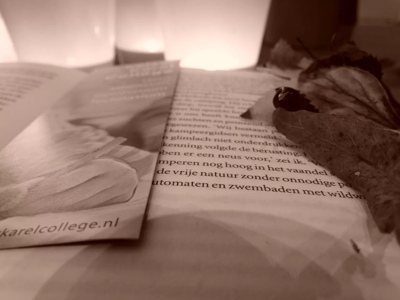 Read paper books