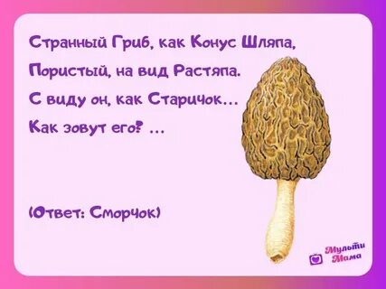 Стихотворение сморчки