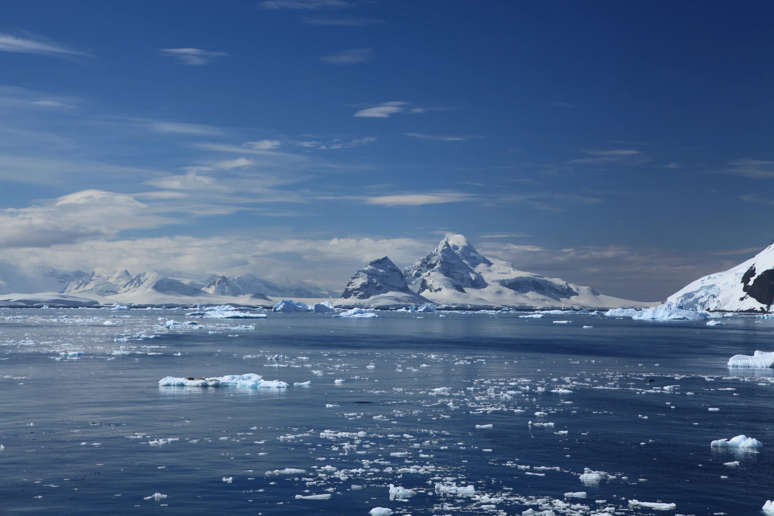 Самый большой остров северного ледовитого. Южный Ледовитый океан. Антарктида Южный океан. Северный Ледовитый океан и Антарктика. Пролив Лемэра Антарктика.