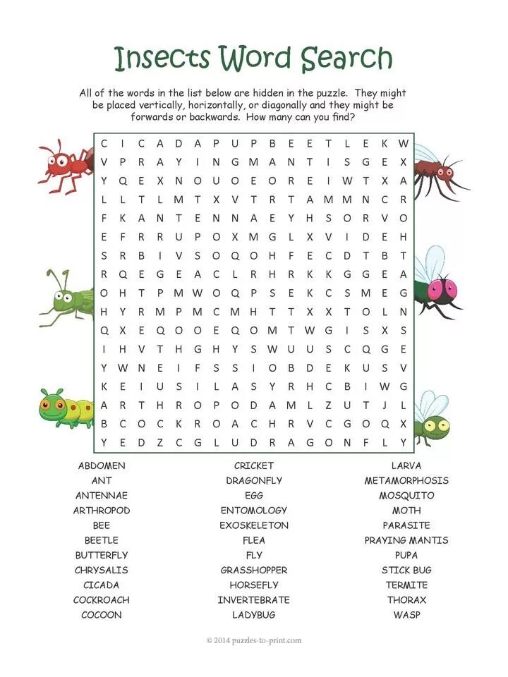 Wordsearch. Insects Wordsearch. Wordsearch for children in English. Wordsearch Worksheets.