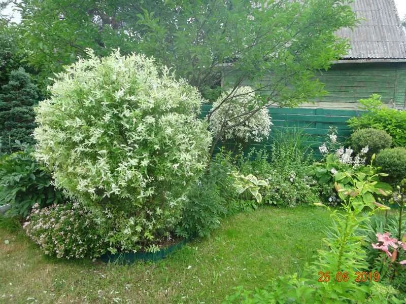 Gallery.ru / Фото #5 - Ландшафт - Dafnia