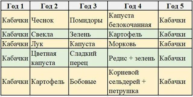 Что посадить после кабачков на следующий. После чего сажать кабачки на следующий год. что после чего можно сажать на следующий год. схема овощного севооборота. после чего можно сажать кабачки на следующий год.