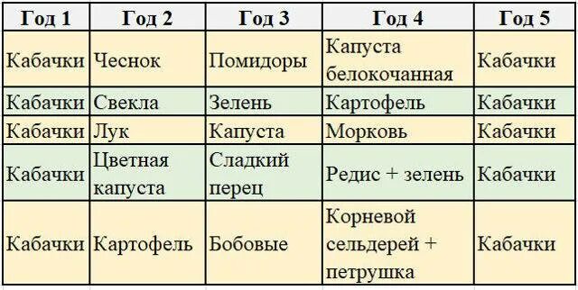 Что посадить после кабачков на следующий год