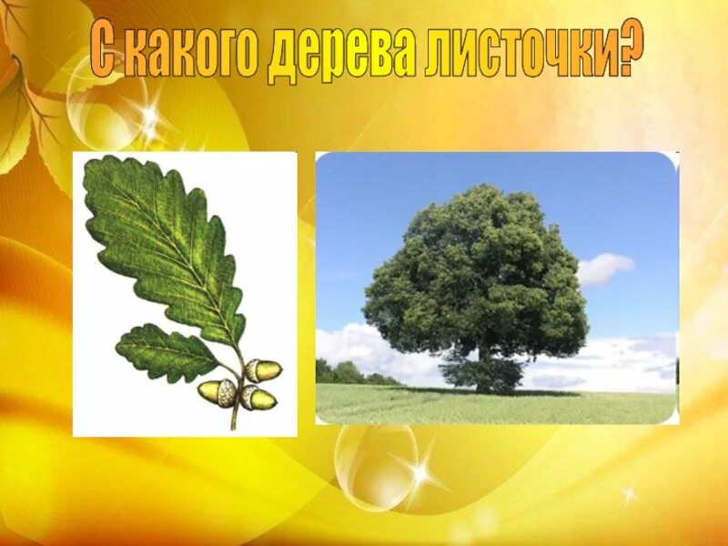 Угадай листочки