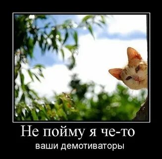 Картинка не понять вам