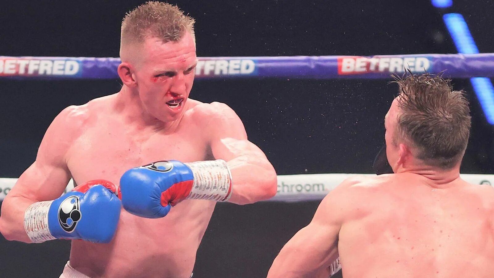 Тед чизман. Чизмен оригинал. Cheeseman боксер. Чизман боксер. Шон чизмен.