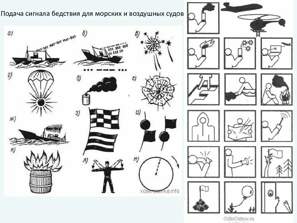 Отправьте правильные сигналы с помощью ракушки. Сигнал бедствий. Международная кодовая таблица сигналов бедствия. На хендай крета клаксон. Сигнал nn системы земля-воздух.
