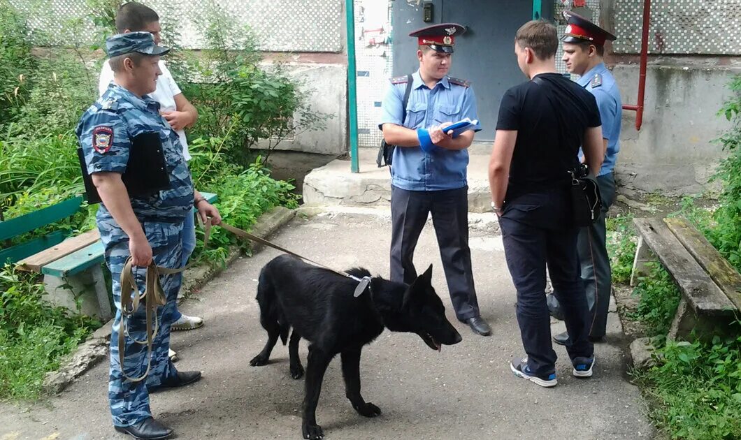 Дети орд. Следственно-Оперативная группа. Следственно Оперативная группа это полиция?. Оперативно-розыскная группа. Полиция на месте происшествия.