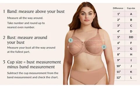What Does The Number In Bra Size Mean - Printable Templates Online