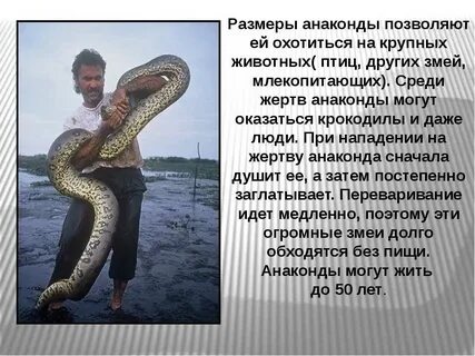 С виду ты мадонна по факту анаконда