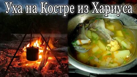 Уха быстрый рецепт