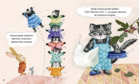Какая про кота