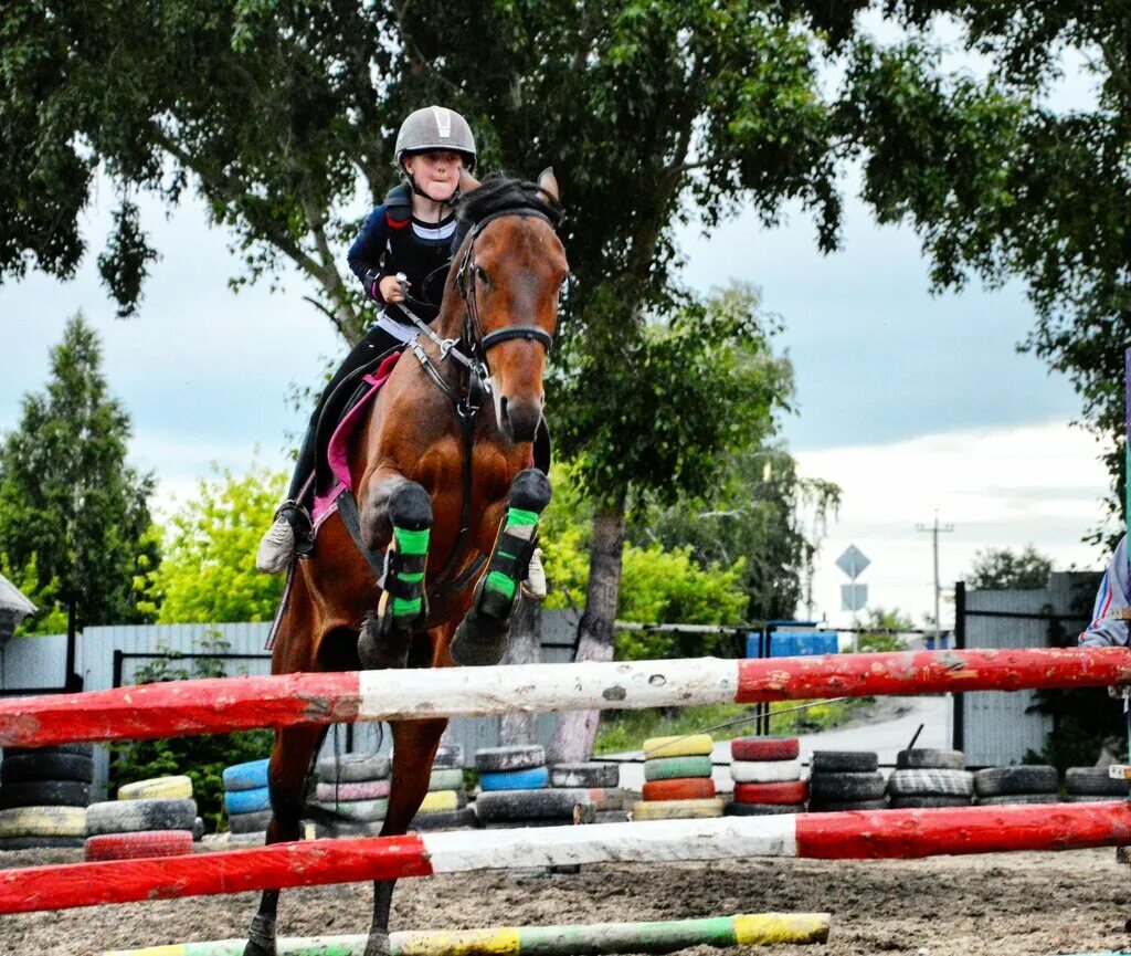 рысак конный магазин