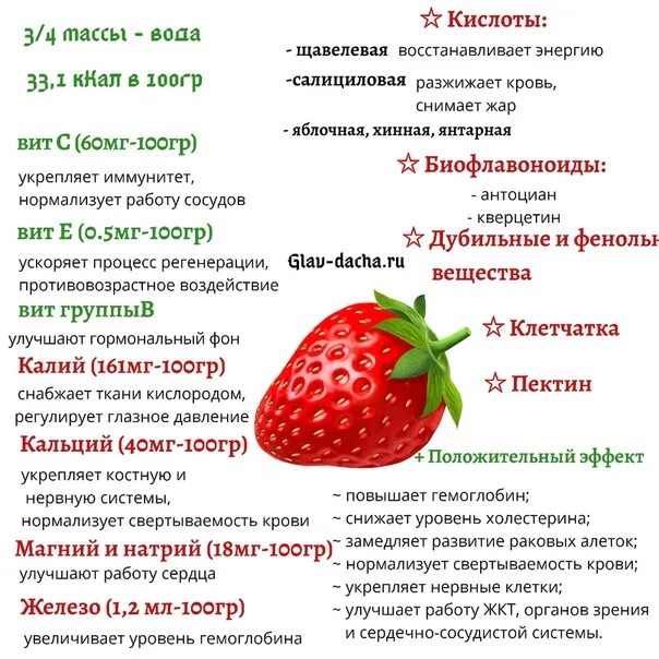 Полезные вещества в клубнике. Количество калорий в клубнике. Земляника состав. Витамины в клубнике.