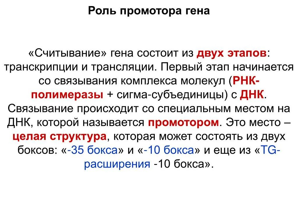 Роль транскрипции. Роль промотора. организация и функции промоторов. функции промотора гена. промотор функции.