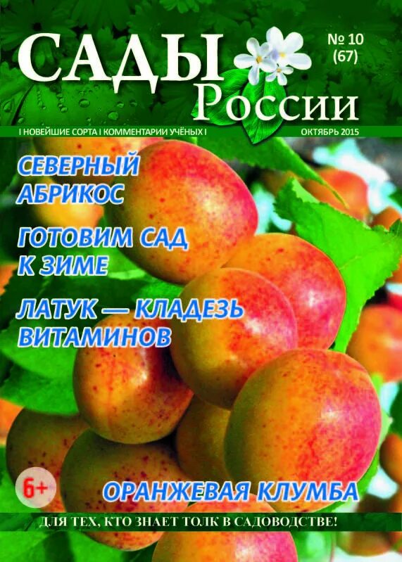 Челябинск сайт огород. Сады России журнал. Журнал семена сады России. Семена сады России Челябинск. Сады России каталог.