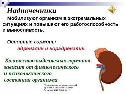 Надпочечники влияние на организм