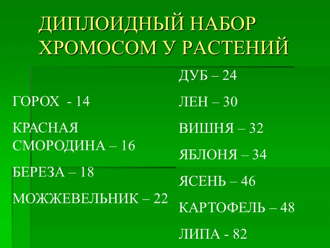 Диплоидный набор хромосом человека сколько. Набор хромосом у растений. Диплоидный набор хромосом. Диплоидный набор у растений. Горох набор хромосом.