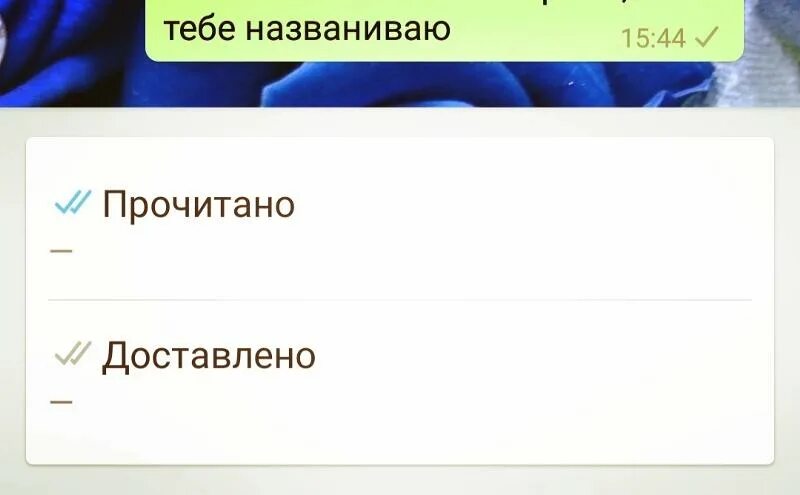 Доставлено прочитано. Доставлено и прочитано в WHATSAPP. Сообщение доставлено но не прочитано. Прочитано не прочитано сообщение галочка. Пришло сообщение сообщение доставлено