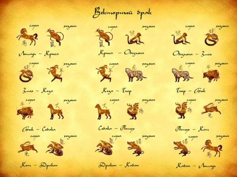 Векторный брак. Векторные отношения по гороскопу. Китайский гороскоп животные. Векторный брак по знакам зодиака.