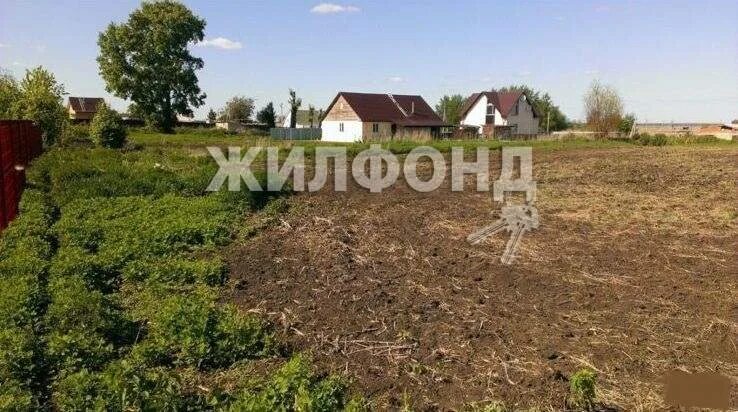 Оби земля. Деревня Алексеевка Новосибирская область улица Центральная дом 15. Новосибирский район деревня Алексеевка Мастеров 12. ЛПХ В деревне Алексеевка Новосибирского р-на. Земля в оби