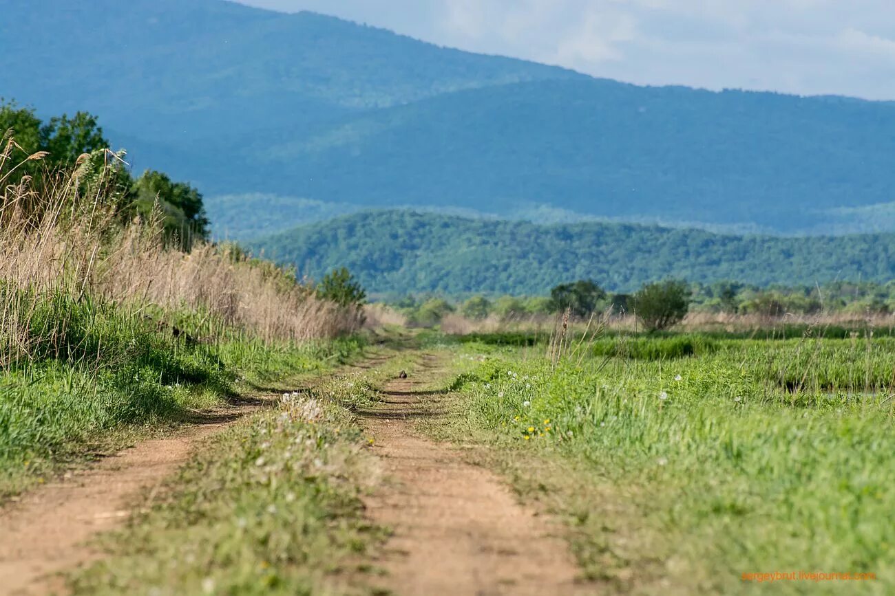 Село Корниловка Приморский край. Село Дальний Кут Приморский край. Село Кролевцы Приморский край. Село Душкино Приморский край. Деревня в приморском крае