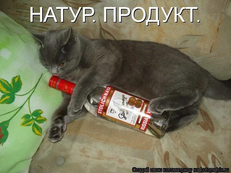 Мася хочет водочки. Мася хочет водочки. Водочки нам принеси мы домой летим брат 2. Мася водочки. Масик хочет водочки.