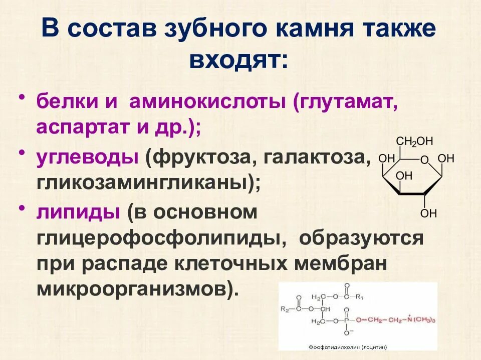 Реакции распада аминокислот. Основные реакции распада аминокислот. Образование зубного камня биохимия. Также в состав могут быть