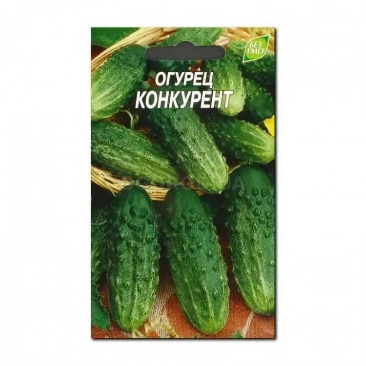 Сорта огурцов конкурент. Огурец корнишон-закусон f1 аэлита. огурец корнишон закусон f1. сорт огурцов корнишон на закусон. огурец корнишон-закусон f1 568586 0,25г.