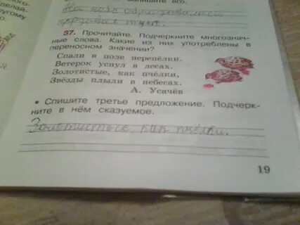 Спали в поле перепелки многозначные слова