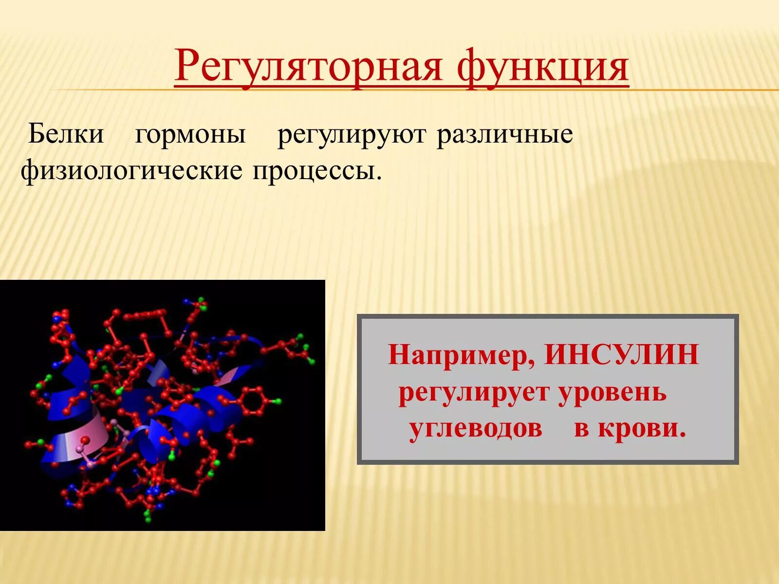 Белки группа соединений. Регуляторные функции белков. Регуляторная функция белка. Регуляторная функция белков регуляторные белки. Регуляторная функция белков гормоны.