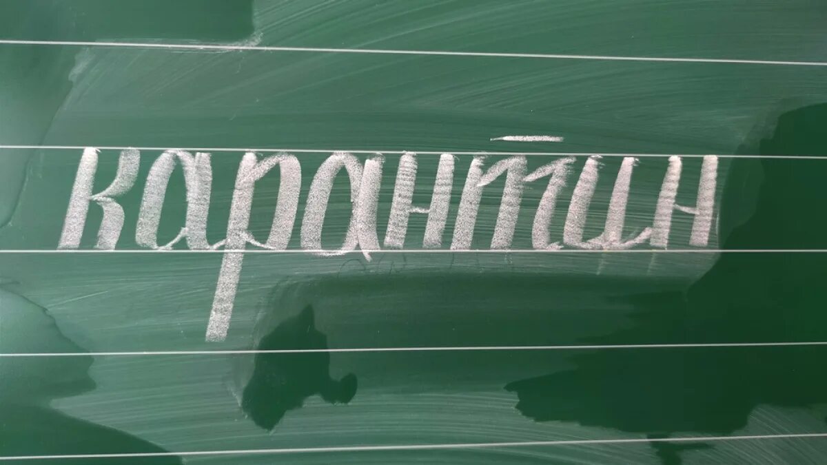 Карантин каком городе. Карантин. карантин фото для презентации. карантин ветеринария. группа закрыта на карантин.