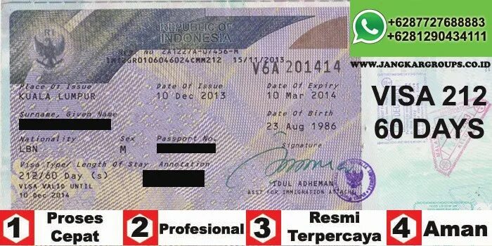 Е viza индийская виза. Visa Razmer India. Viza Razmer India. Виза на Индонезия как выглядит электронный. Виза b211