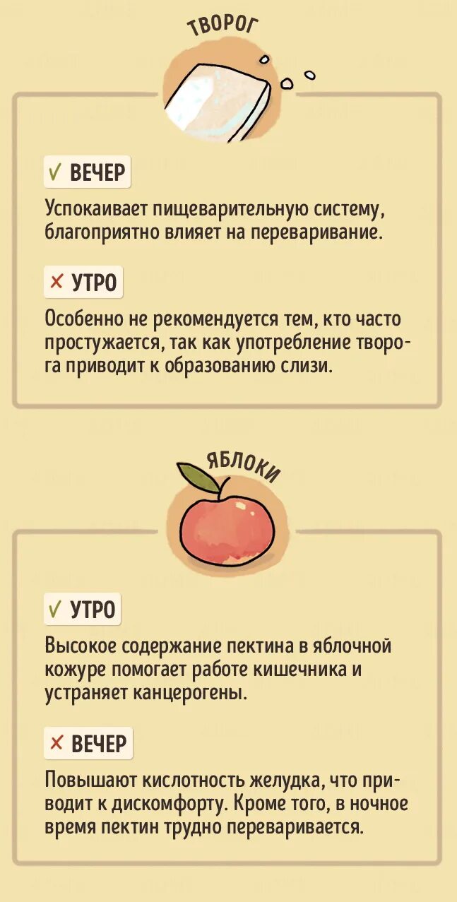 В какое время есть яблоки