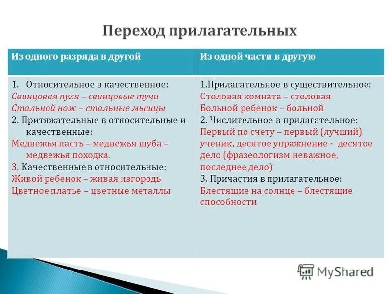 Притяжательные прилагательные. Качественные относительные и притяжательные прилагательные примеры. Ружье охотника притяжательное прилагательное. Качественное относительное притяжательное. Притяжательные прилагательные 6 класс.