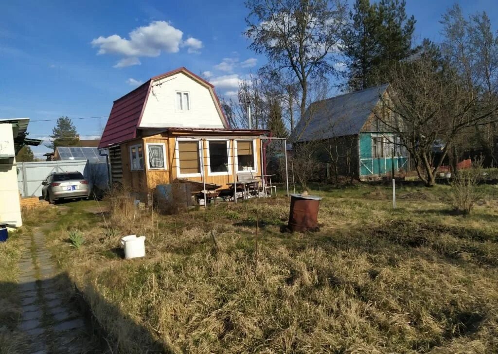 Дача снт озера. Снт озеро. снт нижний восход пруд. снт восход нижний электросталь. озеро в электроуглях.