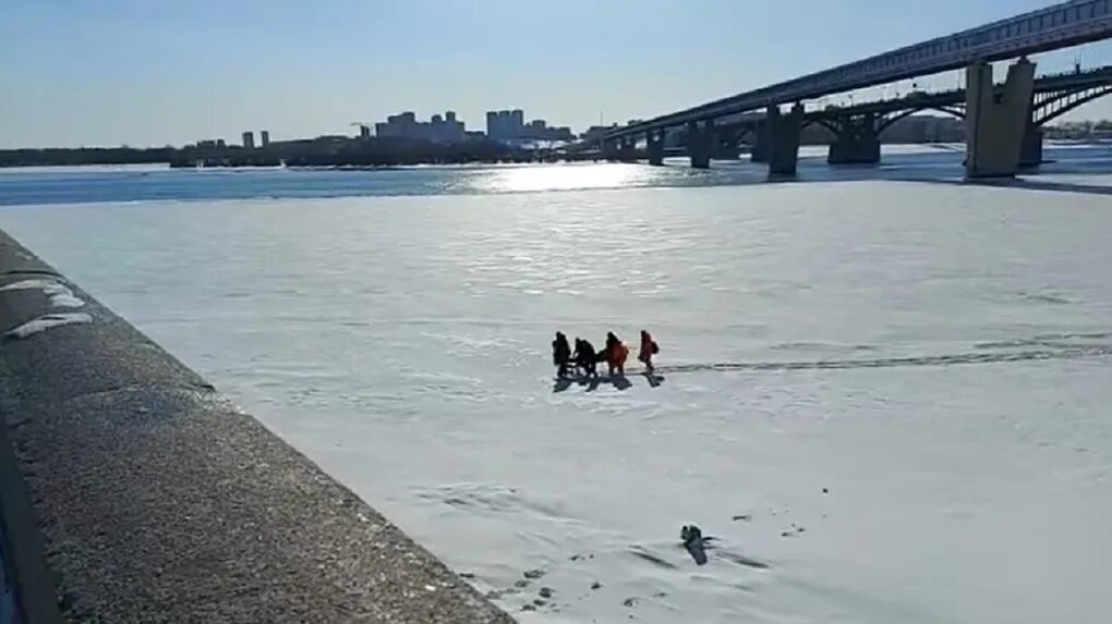 Упавший мужчина с моста. Обь падение. С моста прыгнуть в Обь. Человек на мосту в Новосибирк. Люди спрыгивают с моста в Москву реку.