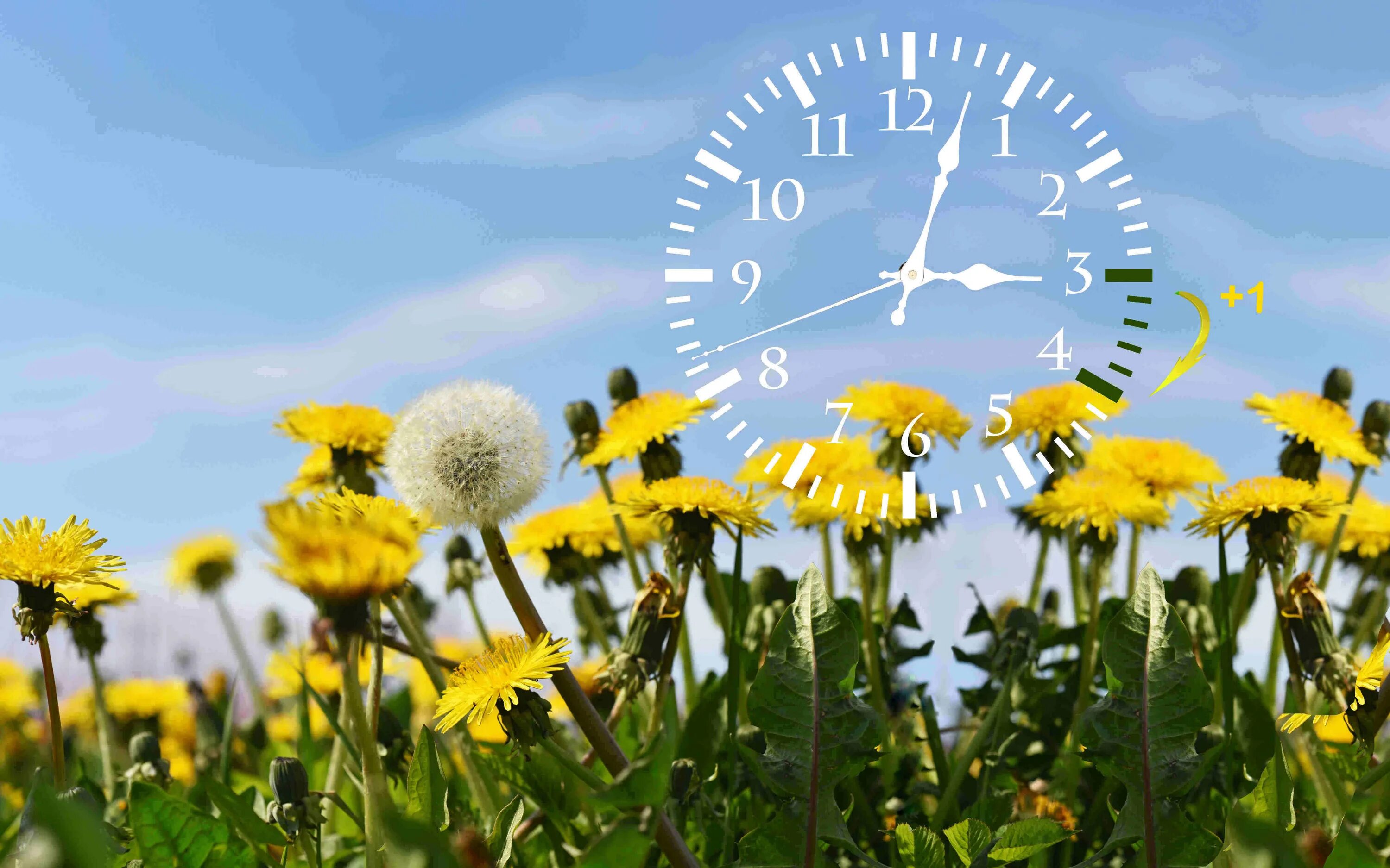 Весенние часы фото. Будильник на природе. Переход на летнее время америка. Подходит в летнее время. Летние часы.