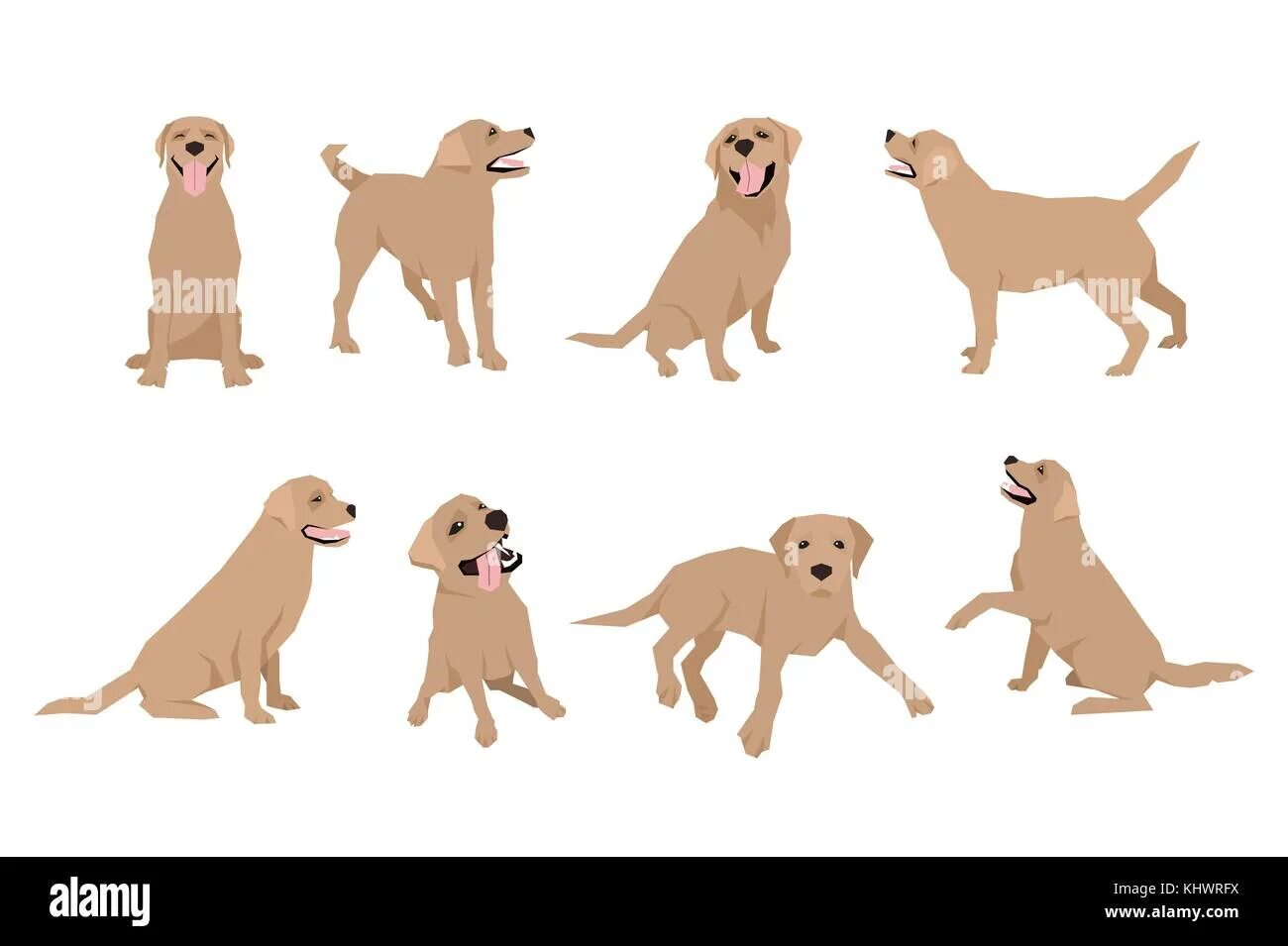 Dog positions