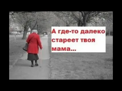 Стихотворение не стареет твоя красота